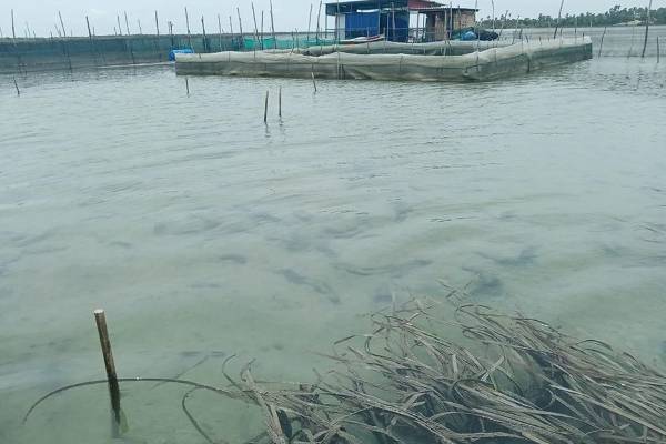 தவறு செய்தால் மன்னிப்பு கேட்பேன் - அமைச்சர் டக்ளஸ் தெரிவிப்பு | Sri Lanka Political Crisis Douglas Report