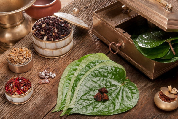 வாயுத்தொல்லையை சரி செய்ய உடனடி வீட்டு வைத்தியம்.. இதை செய்து பாருங்கள் | Betel Leaves Health Remedy For Gastric Problem வாயுத்தொல்லையை சரி செய்ய உடனடி வீட்டு வைத்தியம்.. இதை செய்து பாருங்கள் | Betel Leaves Health Remedy For Gastric Problem