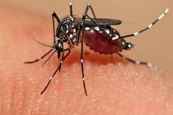 யாழ் மக்களுக்கு முக்கிய எச்சரிக்கை ; காலநிலை மாற்றத்தால் வேகமெடுக்கும் ஆபத்து | Important Warning For The People Of Jaffna