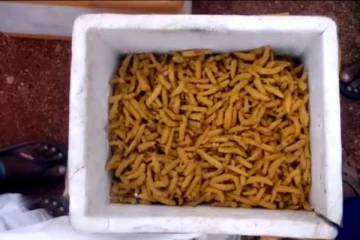 மஞ்சளை கடத்திய இருவருக்கு நேர்ந்த கதி!