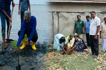 சர்வதேச சுற்றுச்சூழல் தினத்தை முன்னிட்டு வடக்கு, கிழக்கில் இடம்பெற்ற நிகழ்வுகள்