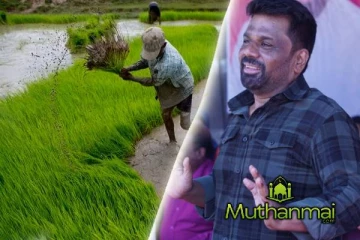 ஜனாதிபதி அநுரவினால் விவசாயிகளுக்கு மகிழ்ச்சி தகவல்