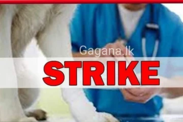 පශු වෛද්‍ය නිලධාරීන් අඛණ්ඩ වර්ජනයක...