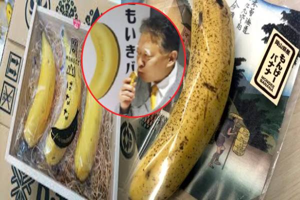 இந்த வாழைப்பழத்தை தோலுடன் சாப்பிடலாமா! விலை என்னன்னு தெரியுமா? | Japanese Mongee Banana Prize Benefits இந்த வாழைப்பழத்தை தோலுடன் சாப்பிடலாமா! விலை என்னன்னு தெரியுமா? | Japanese Mongee Banana Prize Benefits