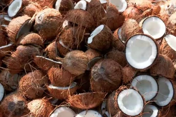 வருடம் முழுவதும் உச்ச விலையில் தேங்காய்