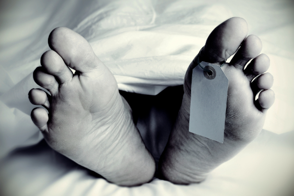 யாழில் விபத்தில் சிக்கிய முதியவர் உயிரிழப்பு | Elderly Man Dies In Jaffna Accident