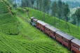 மண்மேடு சரிந்ததில் ரயில் சேவைகள் பாதிப்பு