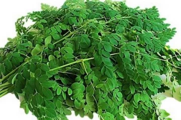 வாரத்தில் இரண்டு நாட்கள் முருங்கை கீரை சாப்பிட்டால் நடக்கும் அற்புதங்கள்