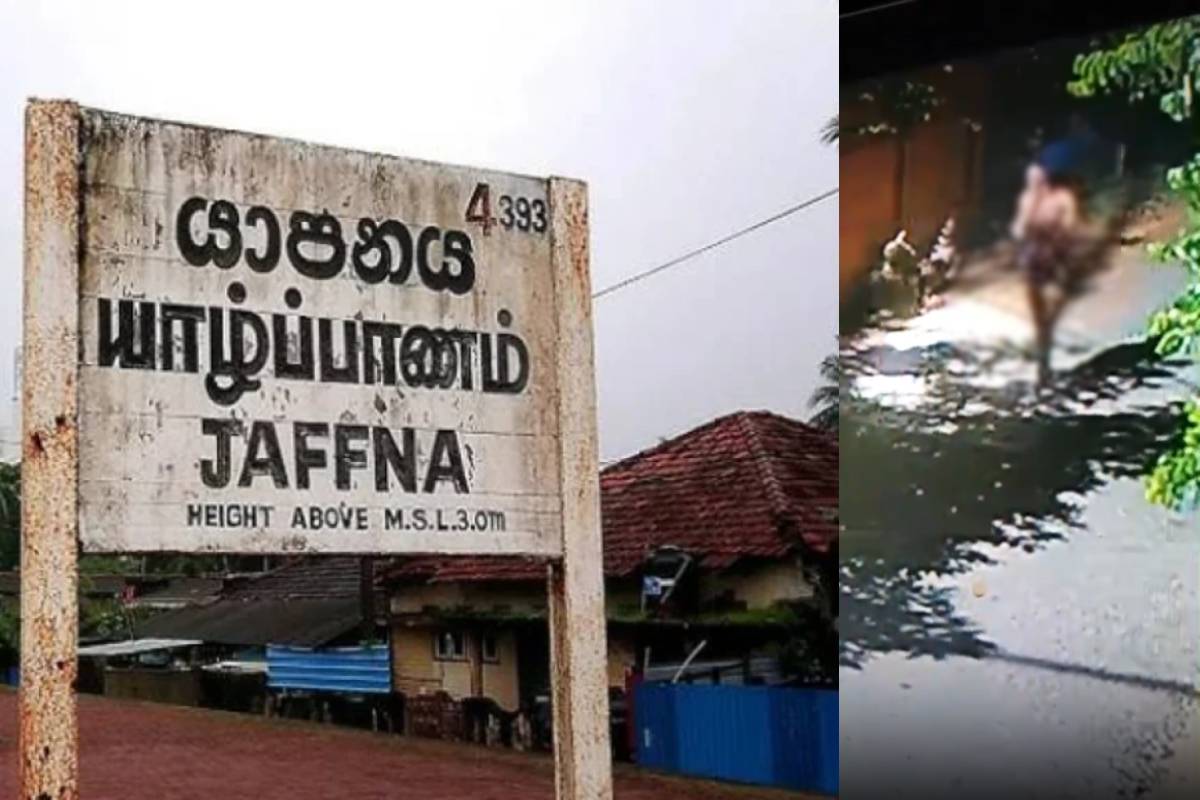 யாழ் நகரில் நள்ளிரவில் வீடுகளுக்குள் நுழைந்த சந்தேகநபர் அதிரடி கைது! | Man Arrested For Breaking Into Homes In Jaffna