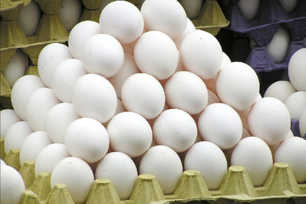முட்டை குறித்து நுகர்வோருக்கு மகிழ்ச்சியான தகவல்... | Good News For Consumers About Eggs