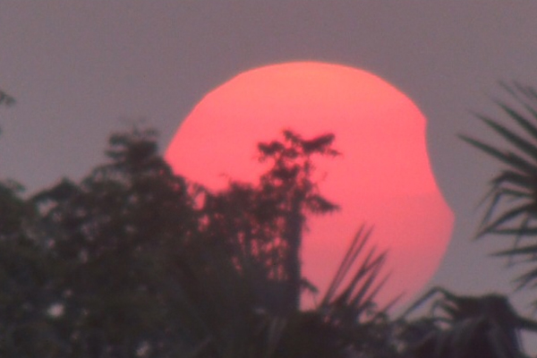 யாழில் இடம் பெற்ற சூரிய கிரகணம் | Solar Eclipse In Jaffna