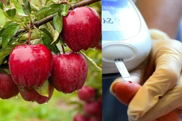 டைப் 2 சுகர் இருக்கா? நீங்க ஆப்பிள் சாப்பிடலாமா - கண்டிப்பா தெரிஞ்சுக்கோங்க!