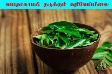 Curry Leaf: ஓசியில் கிடைக்கும் கருவேப்பிலையை இனி தூக்கி போடாதீங்க