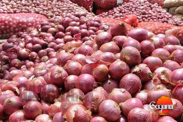 ලොකු ළූණු ආනයනය කිරීම රජයට ලාභයි - ඇමති ලාල්කාන්ත