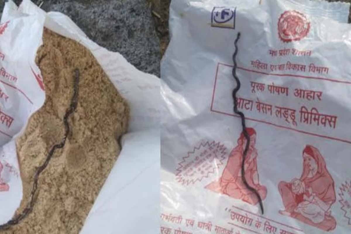 சத்துணவில் இறந்து கிடந்த பாம்பு: அதிர்ச்சியில் கர்ப்பிணி பெண் | Snake In Sathumavu சத்துணவில் இறந்து கிடந்த பாம்பு: அதிர்ச்சியில் கர்ப்பிணி பெண் | Snake In Sathumavu