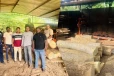 வவுனியாவில் 15 இலட்சம் பெறுமதியான மரங்கள் மீட்பு : ஒருவர் கைது