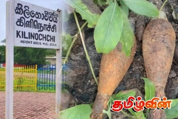 கிளிநொச்சியில் வெடிக்காத நிலையில் இரு குண்டுகள் மீட்பு