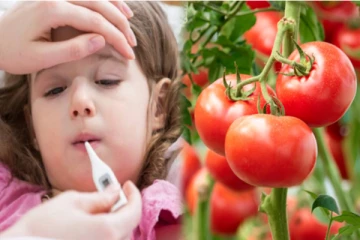 குழந்தைகளை பாதிக்கும் தக்காளி வைரஸ்! தக்காளியில் இருந்து பரவுமா?