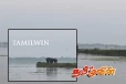 மட்டக்களப்பில் தொடரும் காட்டு யானைகளின் அட்டகாசம்