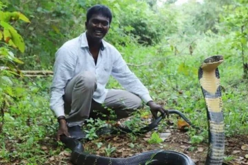 மருத்துவமனையிலிருந்து திரும்பியதும் மீண்டும் பாம்பு பிடிக்க புறப்பட்ட  வாவா சுரேஷ்