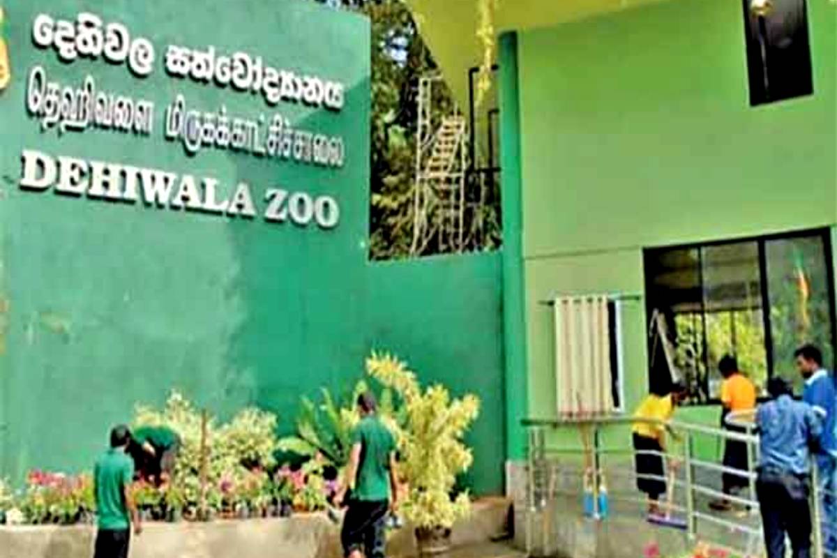புதுப்பொலிவு பெறப்போகும் தெஹிவளை மிருகக்காட்சிச்சாலை..! 300 மில்லியன் செலவில் புனரமைப்பு பணிகள் ஆரம்பம் | Dehiwala Zoo Reconstruction Works Cost Of 300M