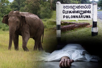 காட்டு யானை தாக்கி குடும்பஸ்தர் பலி