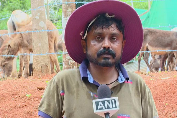 லட்சங்களில் சம்பளத்தை உதறிவிட்டு கழுதை பால் விற்கும் நபர்! லாபம் எவ்வளவு தெரியுமா? | Man Quits Plush Job To Open Donkey Milk Farm