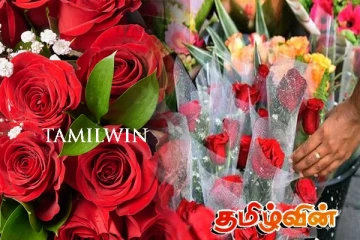 கொழும்பில் களைகட்டும் காதலர் தினம் - அதிகளவில் விற்பனையாகும் ரோஜா பூக்கள்
