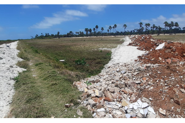 யாழில் வயல் நிலங்களுக்கு ஏற்பட்டுள்ள அபாயம்!(Photos) | Danger To Paddy Fields