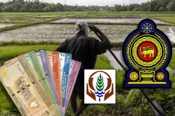 விவசாயிகளுக்கு 1,200 மில்லியன் ரூபாய் இழப்பீடு : வெளியான தகவல்