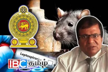 யாழ்ப்பாணத்தை அச்சுறுத்தும் எலிக்காய்ச்சல் : அதிகரிக்கும் தொற்றாளர்கள்