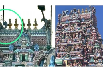 அபசகுனம்? பழநி முருகன் கோயிலில் பரிகார பூஜை - ராஜகோபுரத்தில் அதிர்ச்சி சம்பவம்!