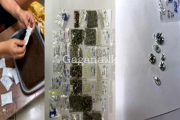 මුම්බායිහිදී අල්ලාගත් දියමන්ති තොගය. 