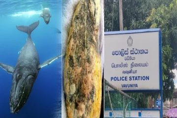 வவுனியாவில் 5 கிலோ அம்பருடன் கைது