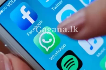 WhatsApp වෙත එක් වුන අලුත්ම විශේෂාංගය - භාවිතා කරන්නන්ට විශේෂ වාසියක්.