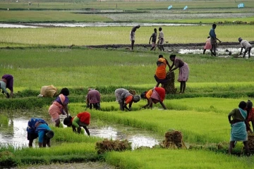 விவசாயிகளுக்கான இழப்பீடு தொகை வழங்க தீர்மானம்