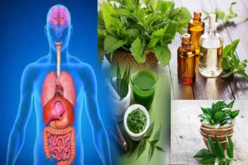 வெறும் வயிற்றில் இந்த இலைகள் செய்யும் அற்புதம்: கட்டாயம் தெரிஞ்சிக்கோங்க