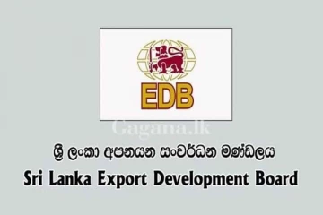 අපනයන සංවර්ධන මණ්ඩලයට නව සභාපතිවරයෙක්