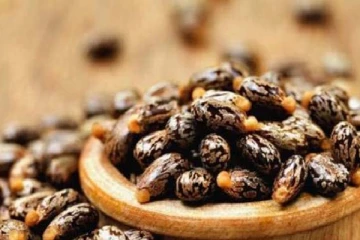 ஆமணக்கு விதையை சாப்பிட்ட சிறுவர்கள் 8 பேருகு நேர்ந்த கதி!