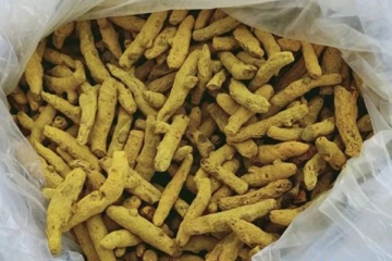 கடற்படையினரின் சுற்றிவளைப்பின் போது சிக்கிய சட்டவிரோத மஞ்சள்!