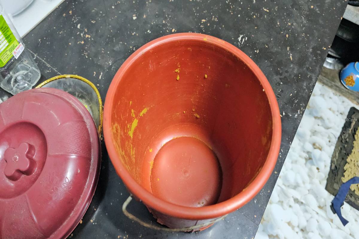 யாழில் வீட்டை சூறையாடிய மர்ம நபர்கள் ; கோழிகள் முதல் நகைகள் வரை கொள்ளை | Mysterious People Ransacked A House In Jaffna