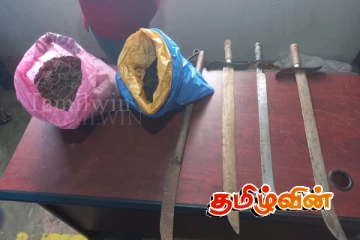 யாழில் கூரிய ஆயுதங்களுடன் மூவர் கைது