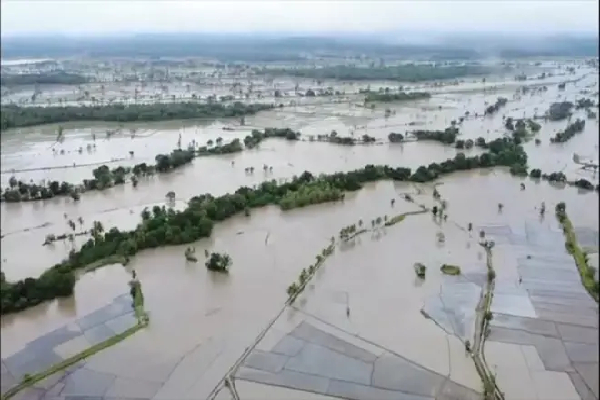 உணவுப்பற்றாக்குறை என்ற பேச்சுக்கே இடமில்லை : அடித்துக்கூறுகிறது அரசு | Not Allow A Food Shortage In The Country