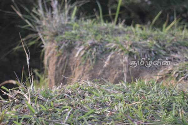 பல வருடங்களாக அழிவின் விளிம்பில் இருக்கும் அந்நூர் பொது மைதானம்: மக்கள் கவலை | Annur Public Ground On The Verge Of Destruction பல வருடங்களாக அழிவின் விளிம்பில் இருக்கும் அந்நூர் பொது மைதானம்: மக்கள் கவலை | Annur Public Ground On The Verge Of Destruction