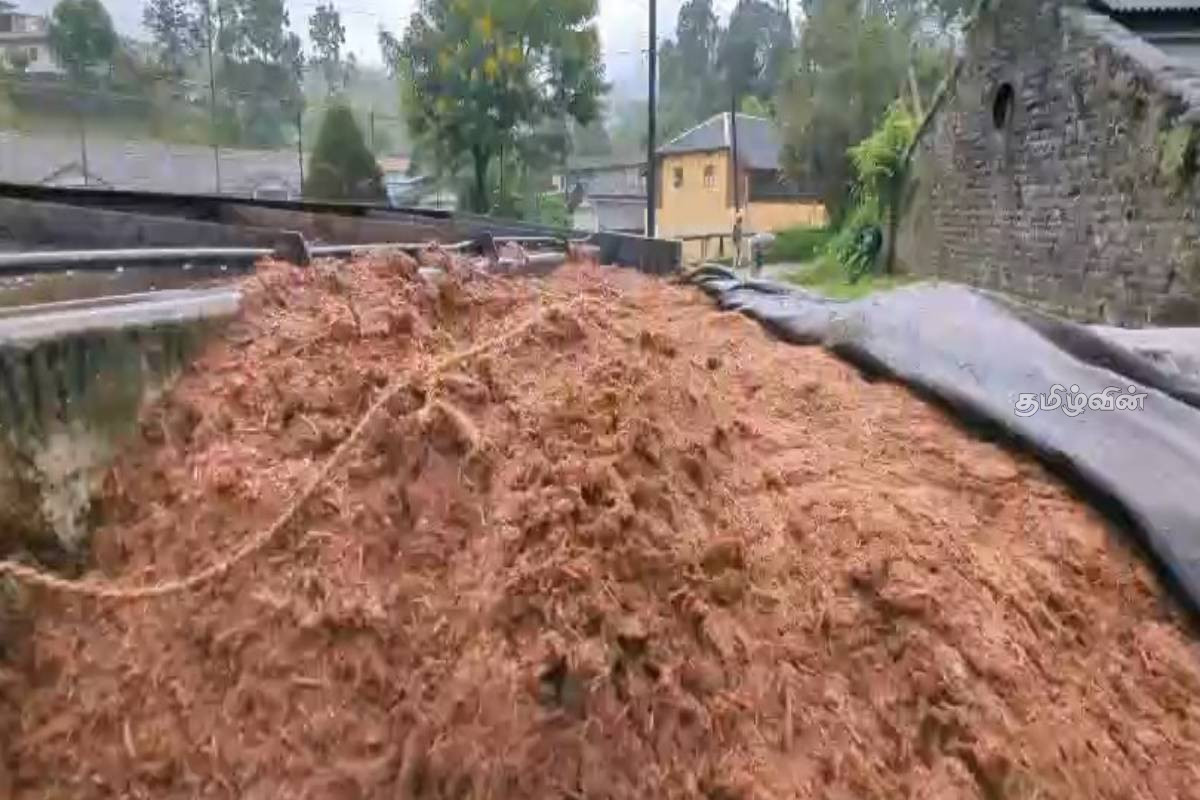 சட்டவிரோதமாக 6 ஆயிரம் கிலோகிராம் கழிவுத் தேயிலை கடத்தியவர் கைது | Man Arrested For Illegally Smuggling 6 000 Kg Tea சட்டவிரோதமாக 6 ஆயிரம் கிலோகிராம் கழிவுத் தேயிலை கடத்தியவர் கைது | Man Arrested For Illegally Smuggling 6 000 Kg Tea
