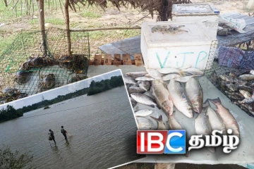 சீரற்ற வானிலையால் கிழக்கில் நன்னீர் மீன்களுக்கான கேள்வி அதிகரிப்பு!