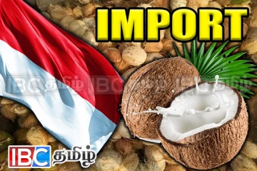 வெளிநாடொன்றிலிருந்து இறக்குமதி செய்யப்படவுள்ள தேங்காய்கள்