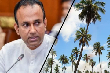 வடமாகாணத்தில் இரண்டாவது தென்னை முக்கோண வலயம்!