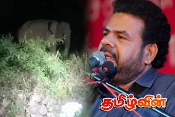 காட்டு யானையிடம் சிக்கிய அமைச்சர்