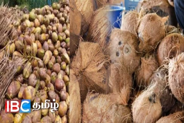 தேங்காய் தட்டுப்பாடு தொடர்பில் வெளியான தகவல்